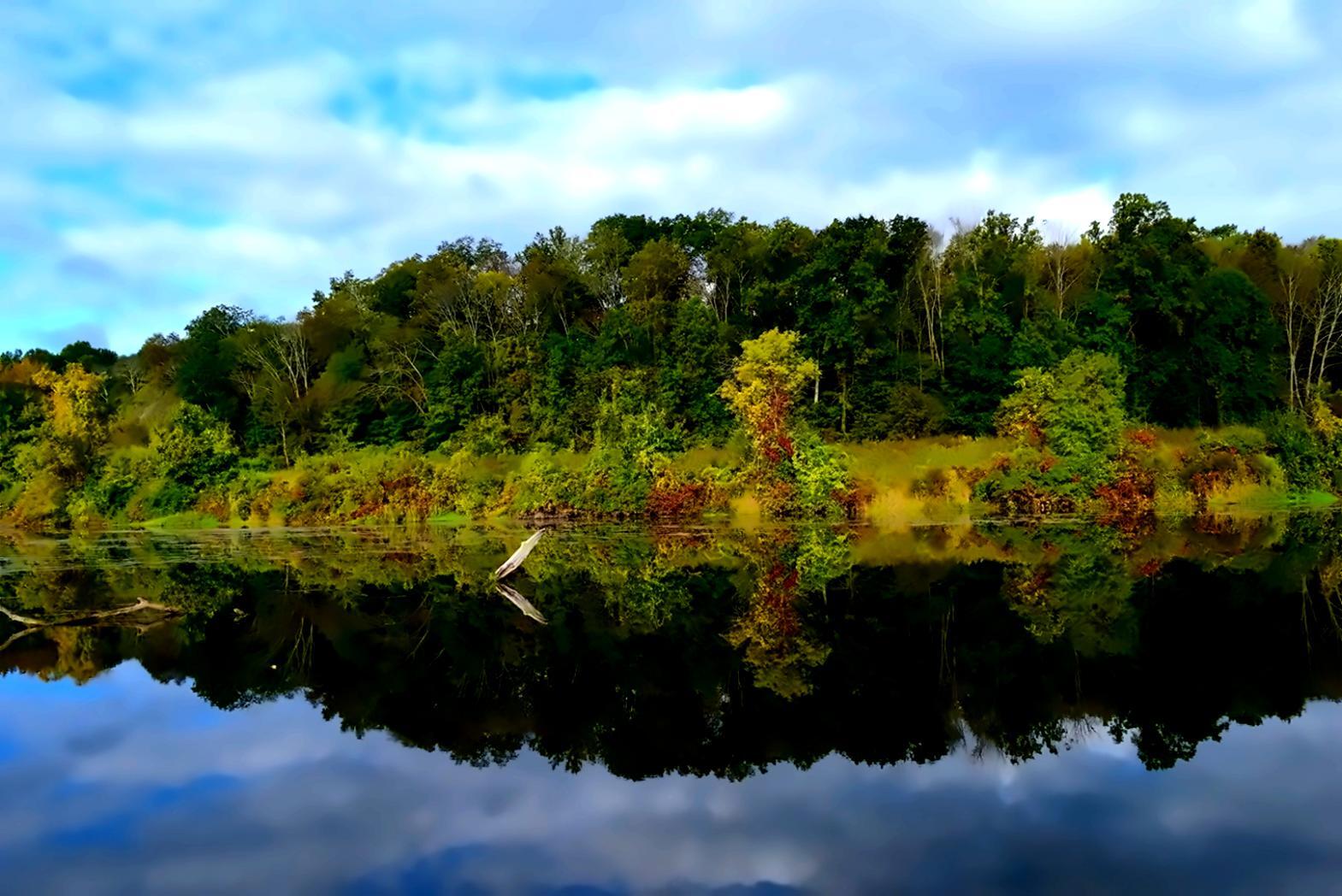 Tropical ecology workshop environment at Halmer Izo