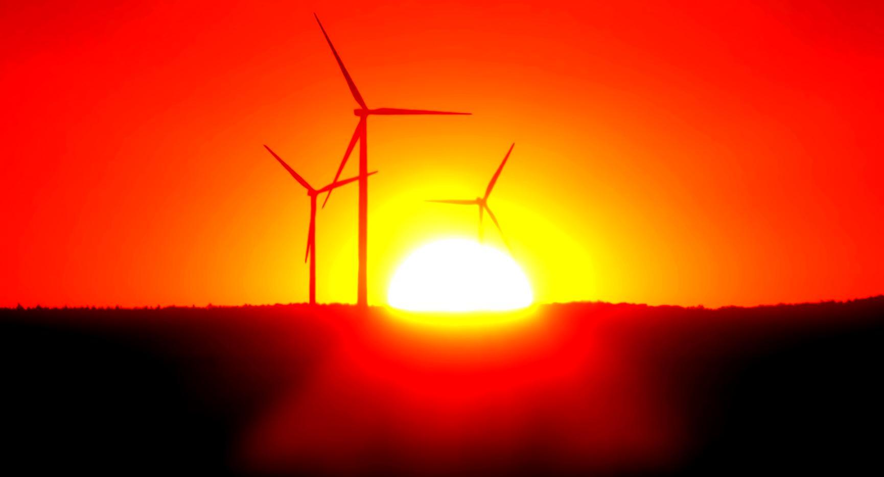 Researcher examining tropical plant species in the field